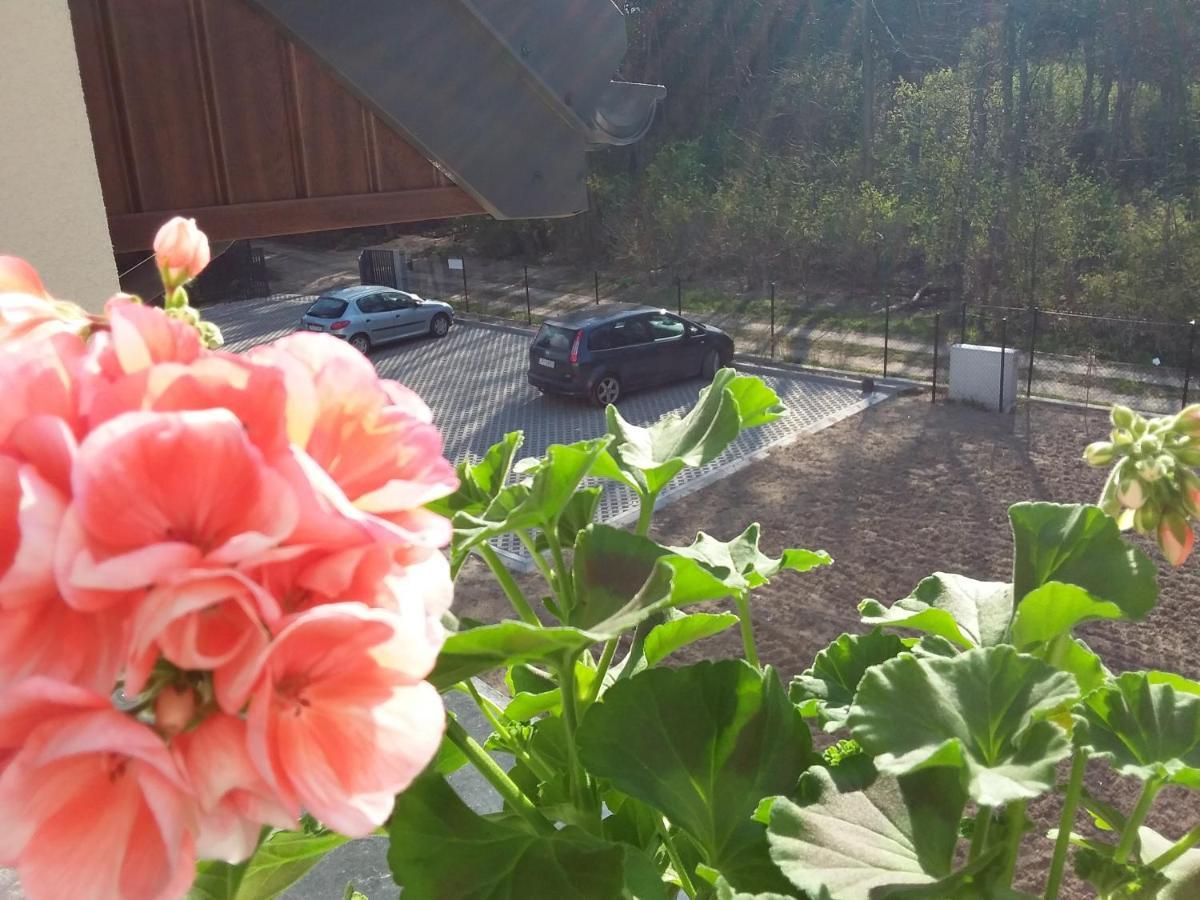 ינוביץ' Dworek Akacja Uslugi Hotelarskie מראה חיצוני תמונה